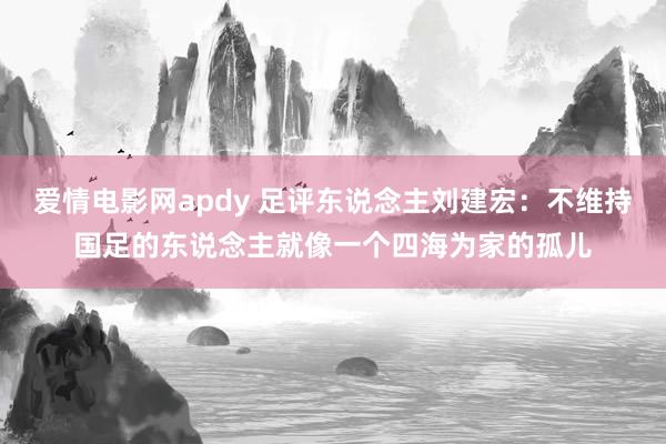 爱情电影网apdy 足评东说念主刘建宏：不维持国足的东说念主就像一个四海为家的孤儿