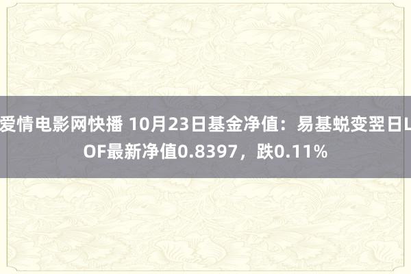 爱情电影网快播 10月23日基金净值：易基蜕变翌日LOF最新净值0.8397，跌0.11%